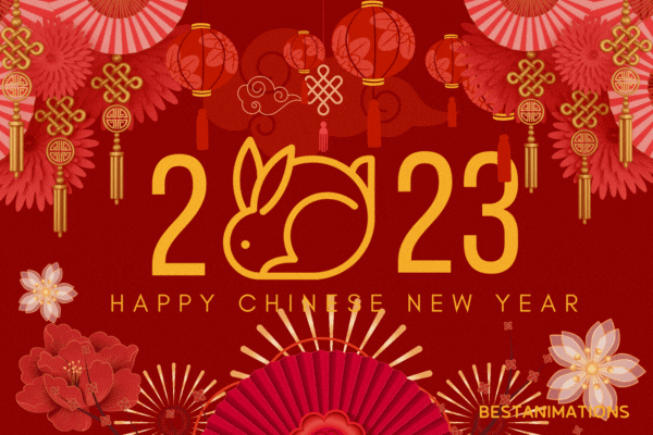 Lucky Chinese New Year Gif 2023