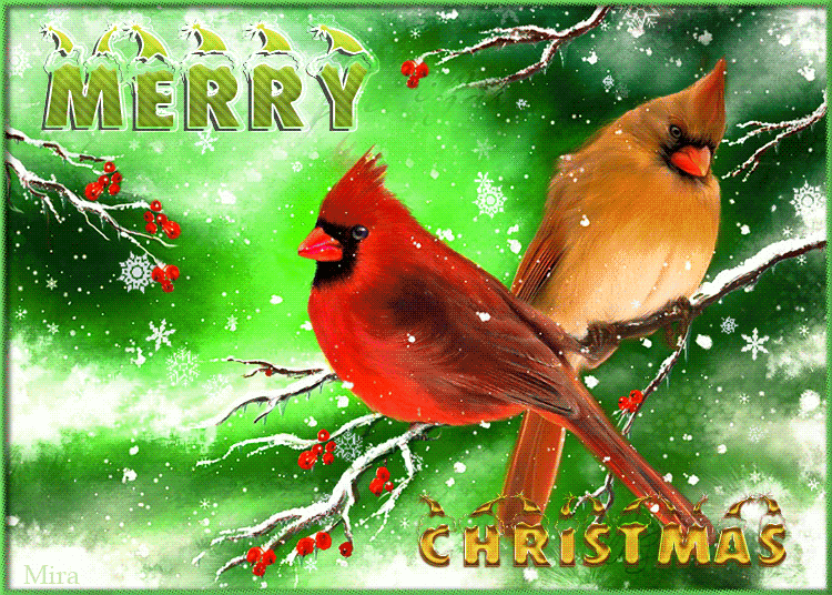 Merry Christmas Greetings animated gif