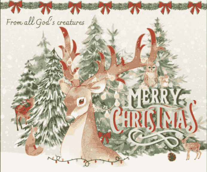 Merry Christmas Beautiful Nature gif