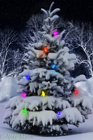 Christmas Tree Decoration With Snow animated gif