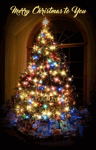 Colorful Christmas Tree Gif