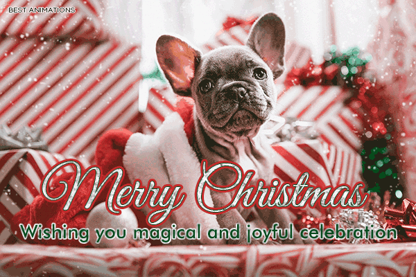 Cute Puppy Merry Christmas  animated gif