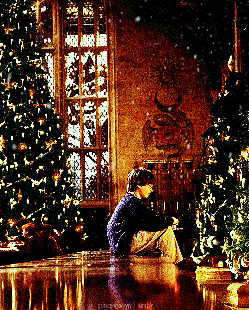 Merry Christmas Harry Potter gif