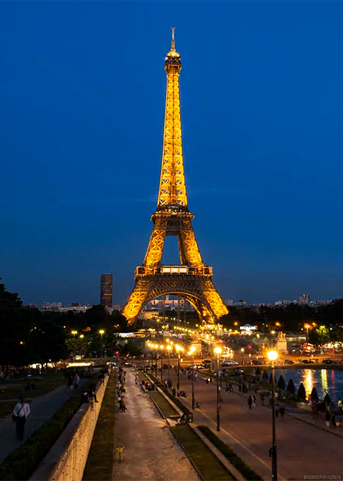 Beautiful Eiffel Tower Paris