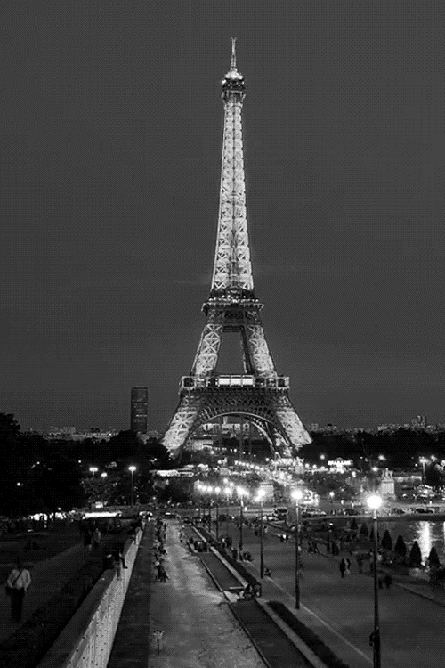 Black And White Eiffel Tower Paris