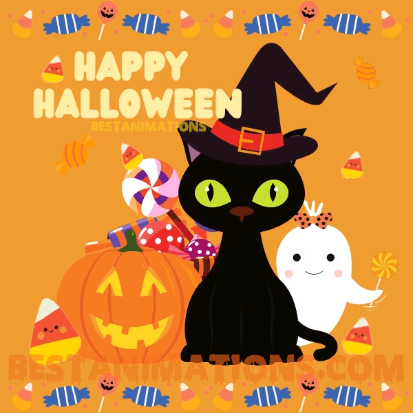 Happy Halloween Gif Cute Cat Candy animated gif