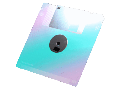 Disk Floppy