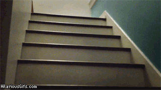 Pug Going Up Stairs