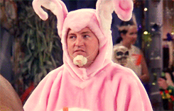 Chandler In Bunny Suit