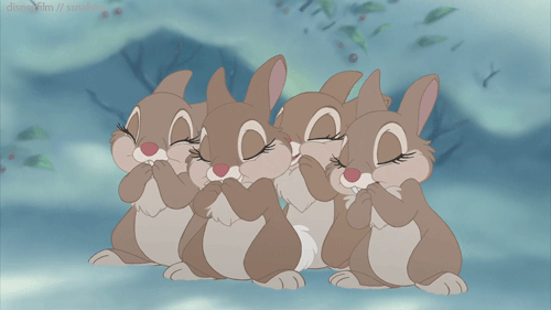 Three Cute Bunny gif
