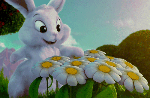 Bunny With Flowers gif