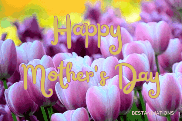 Happy Mother's Day Purple Tulips GIf gif