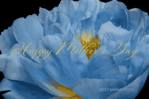Blue Peony Happy Mother's Day Gif gif
