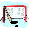 Hockey Net
