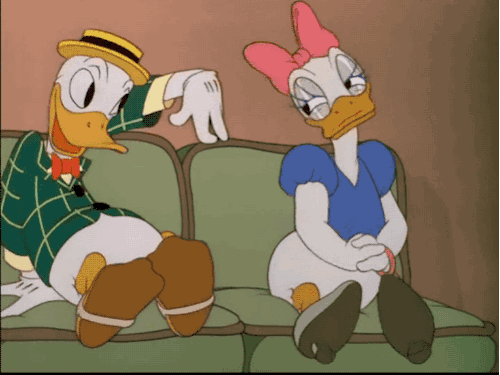 Ducks Sitting On Couch