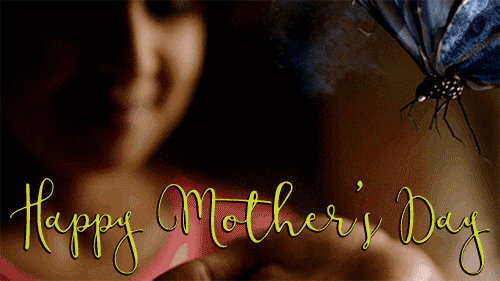 Happy Mothers Day Pretty Butterfly animated gif