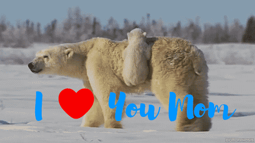 I Love You Mom From Baby Bear animated gif