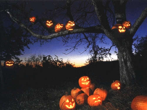Jack o Lantern Pumpkin Tree Decoration