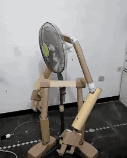 Funny Robot Fan