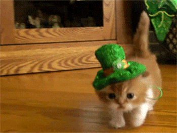 Cutest Irish Saint Patrick Day Kitten Greetings animated gif