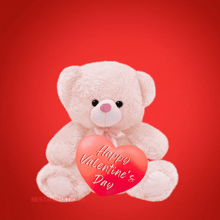 Happy Valentines Day Teddy Gif