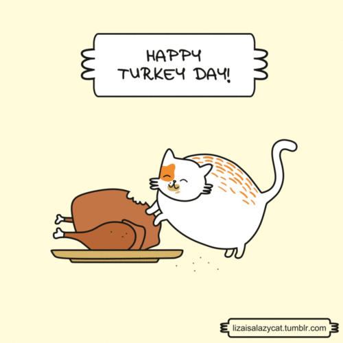 Happy Turkey Day Gif