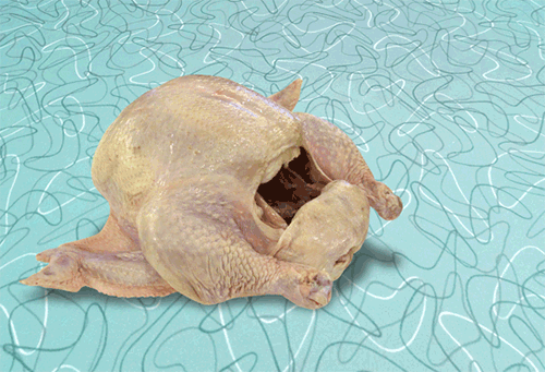 Funny Thanksgiving Turkey Gif