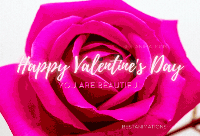 Pink Happy Valentine's Day Rose