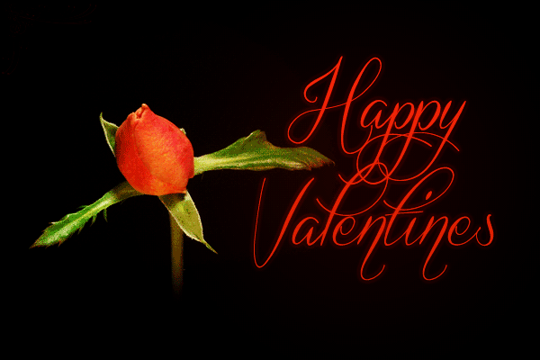 Happy Valentine's Rose Gif