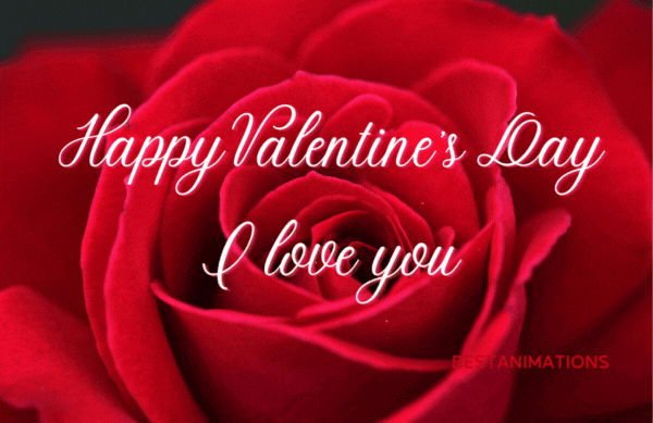 Happy Valentine's Day Gif I Love You