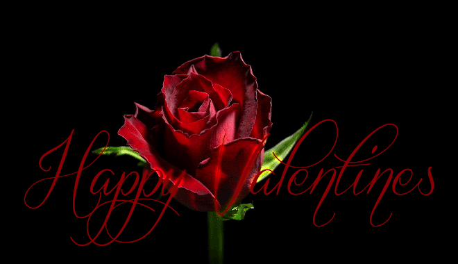 Happy Valentines Day Gif Rose