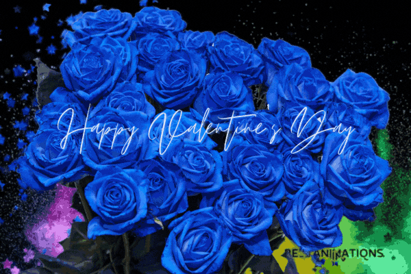 Blue Roses Happy Valentines Gif 