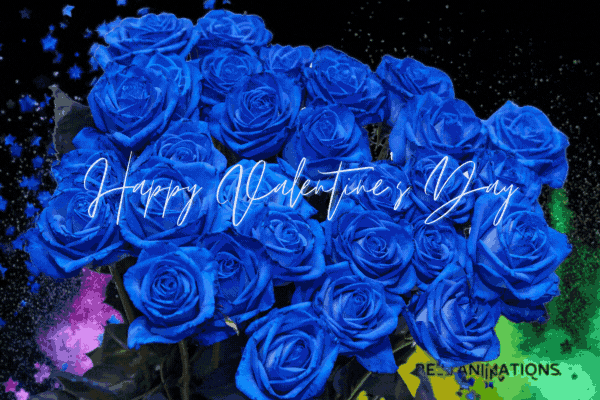 Blue Roses Happy Valentines Gif  animated gif