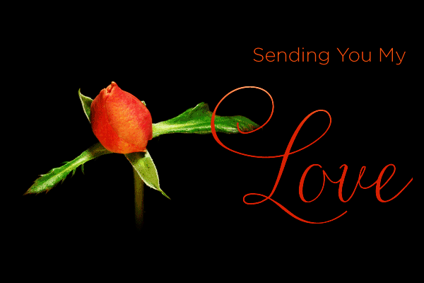 Sending Love Valentine Rose Gif