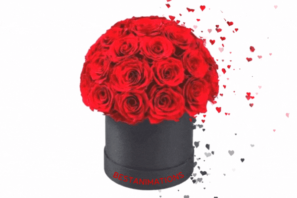 Rose Box Happy Valentines Gif  