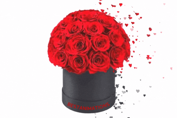 Rose Box Happy Valentines Gif   animated gif