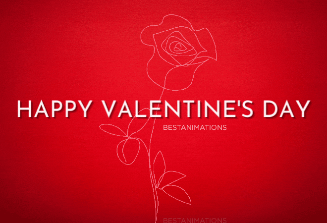 Valentine Rose Gif Animation