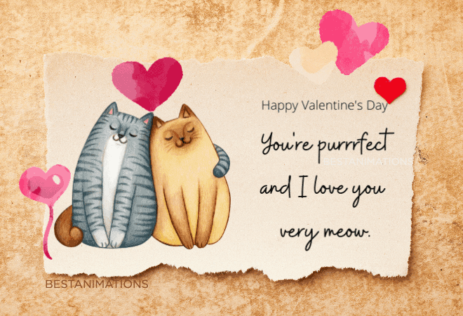 Cute Cats Valentine Card Gif