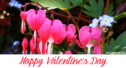 Happy Valentines Day Heart Flowers