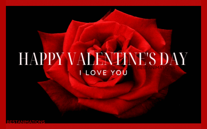Happy Valentines Rose Gif animated gif