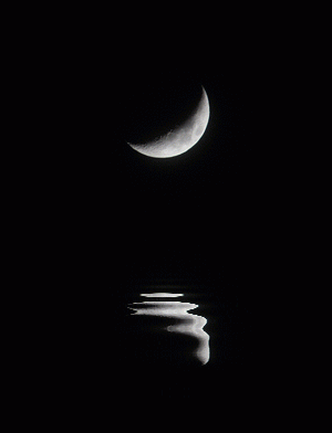 1418973513moon-animation1.gif