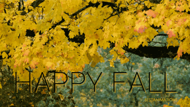 Happy Fall Yellow Leaves Gif
