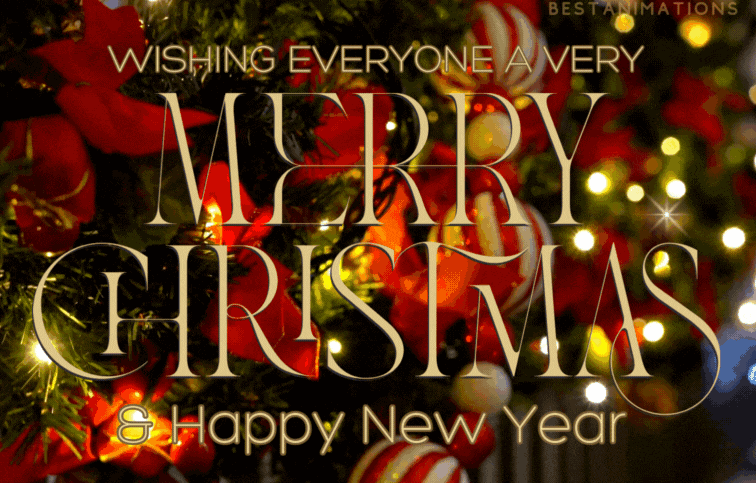 Wish You Very Merry Christmas Gifs animated gif