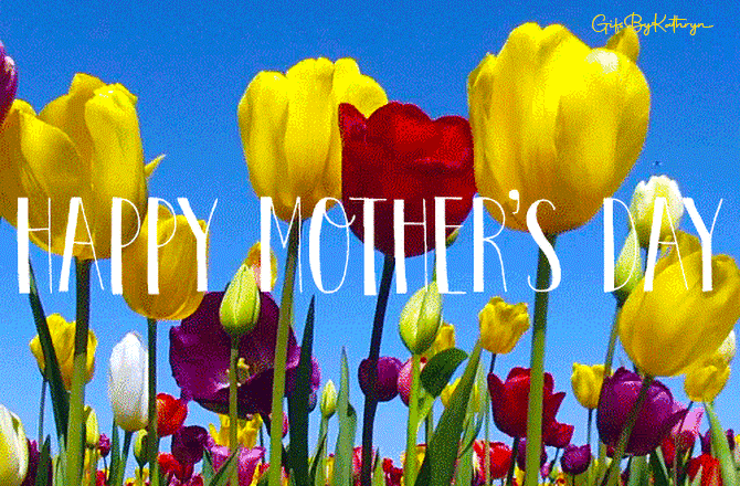 Spring Tulips gif