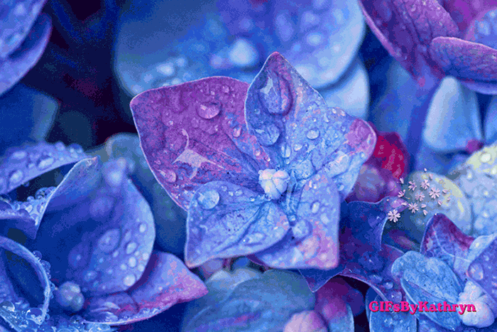 Happy Mothers Day Flowers Gif