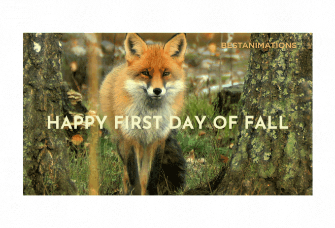 Foxy First Day of Fall Gif