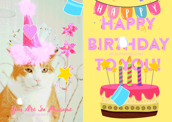 Pawesome Cute Cat Birthday Gif
