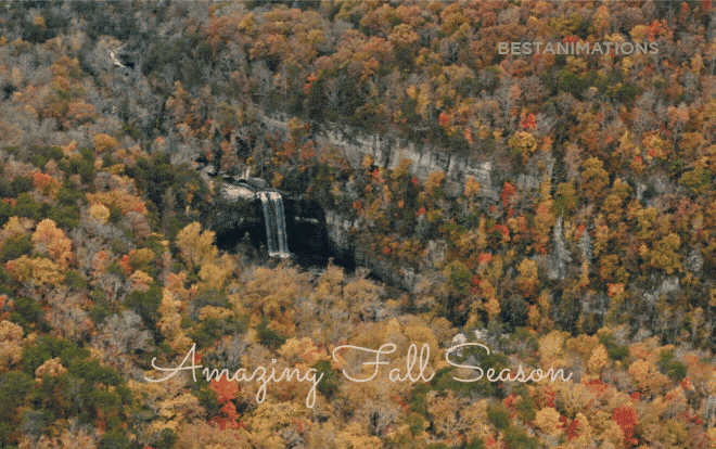 Amazing Fall Season Gif