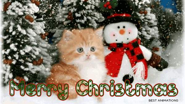 Cute Merry Christmas Kitten And Snowman Wishes