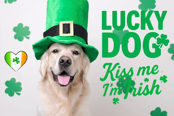 Kiss Me I'm Irish Gif gif